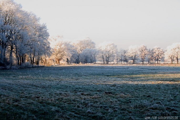 Winter-25