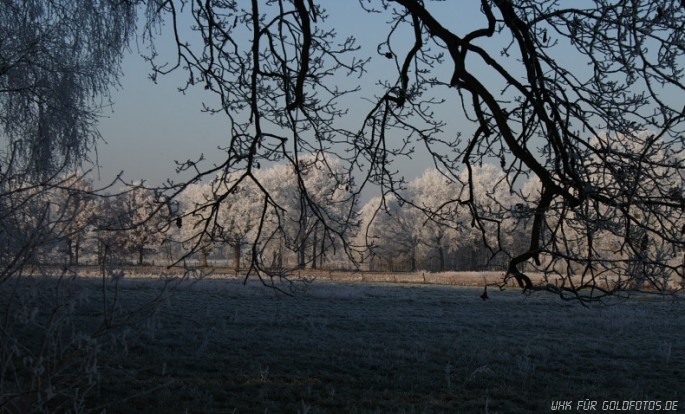 Winter-26