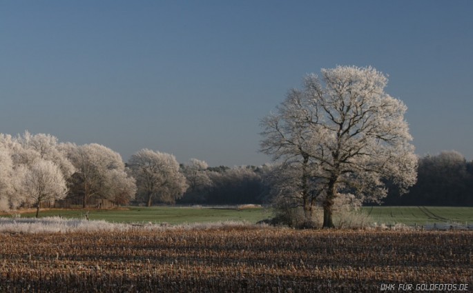 Winter-36
