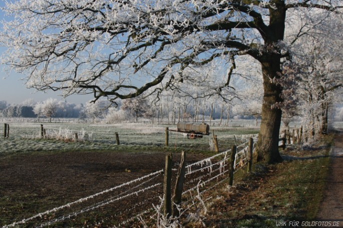 Winter-40