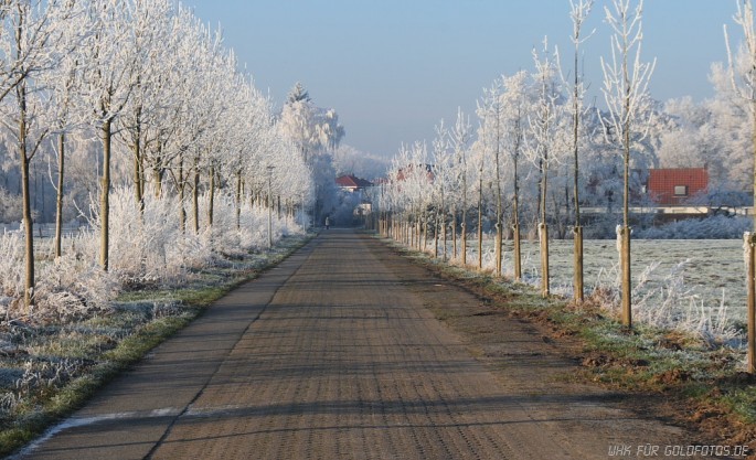 Winter-47