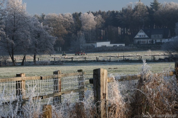 Winter-49