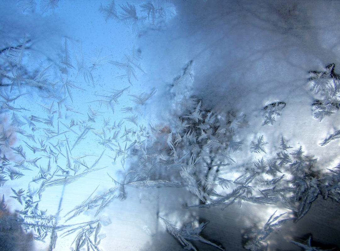 eisblumen am morgen ...