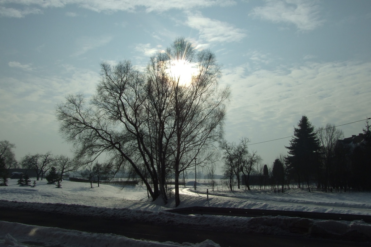 Dämmerung im Winter