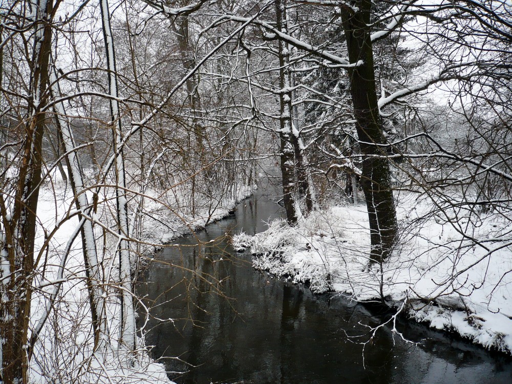 Neujahr 2010 Spaziergang