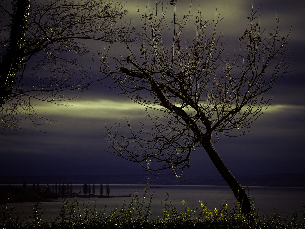 Wintersturm am Bodensee