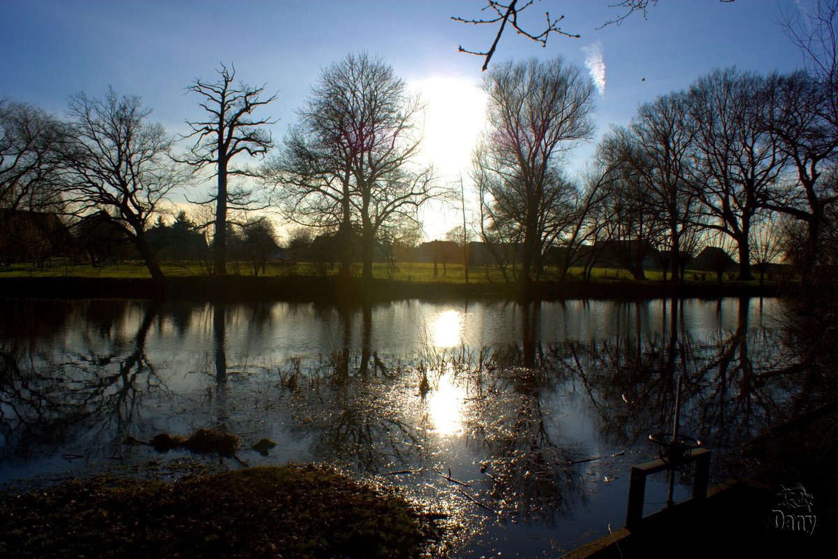 Wintersonne am Luther See