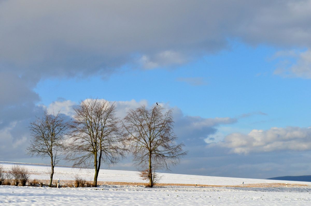 Schneelandschaft