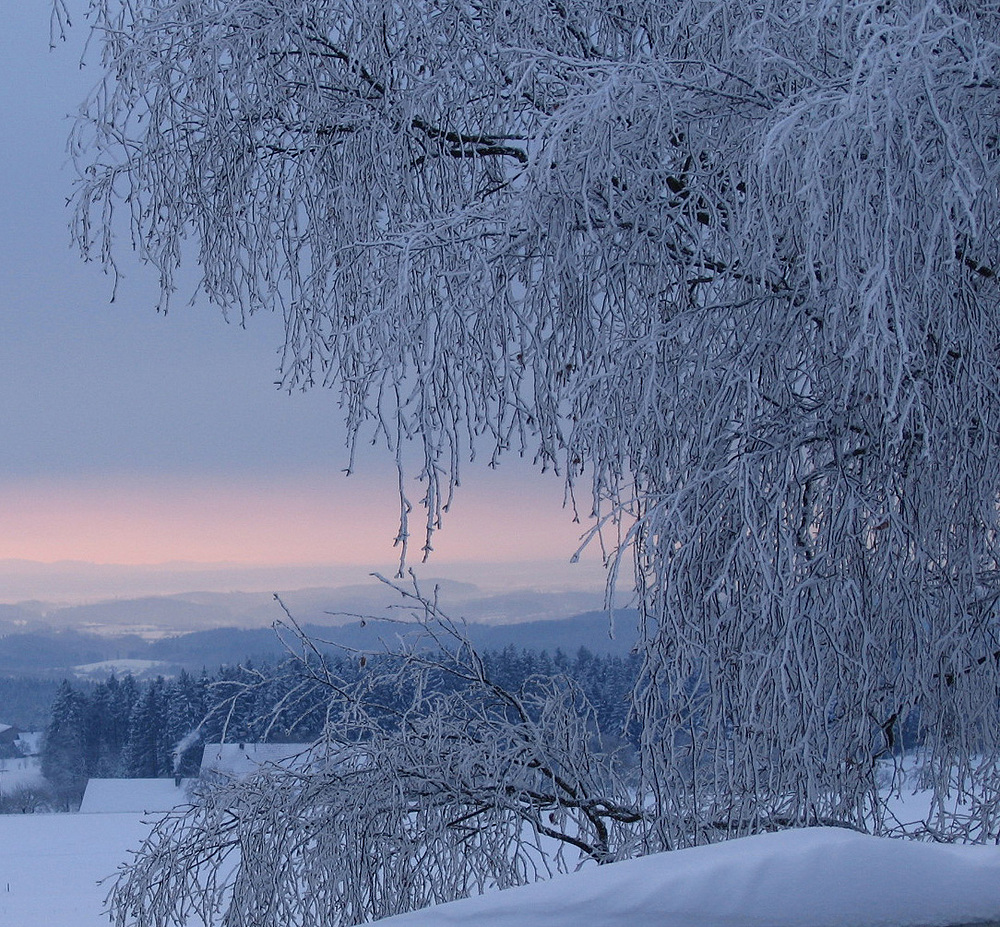 Winter 2005