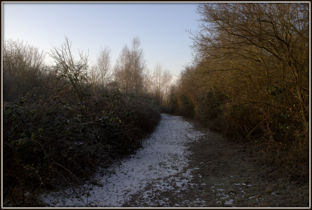 Der Weg