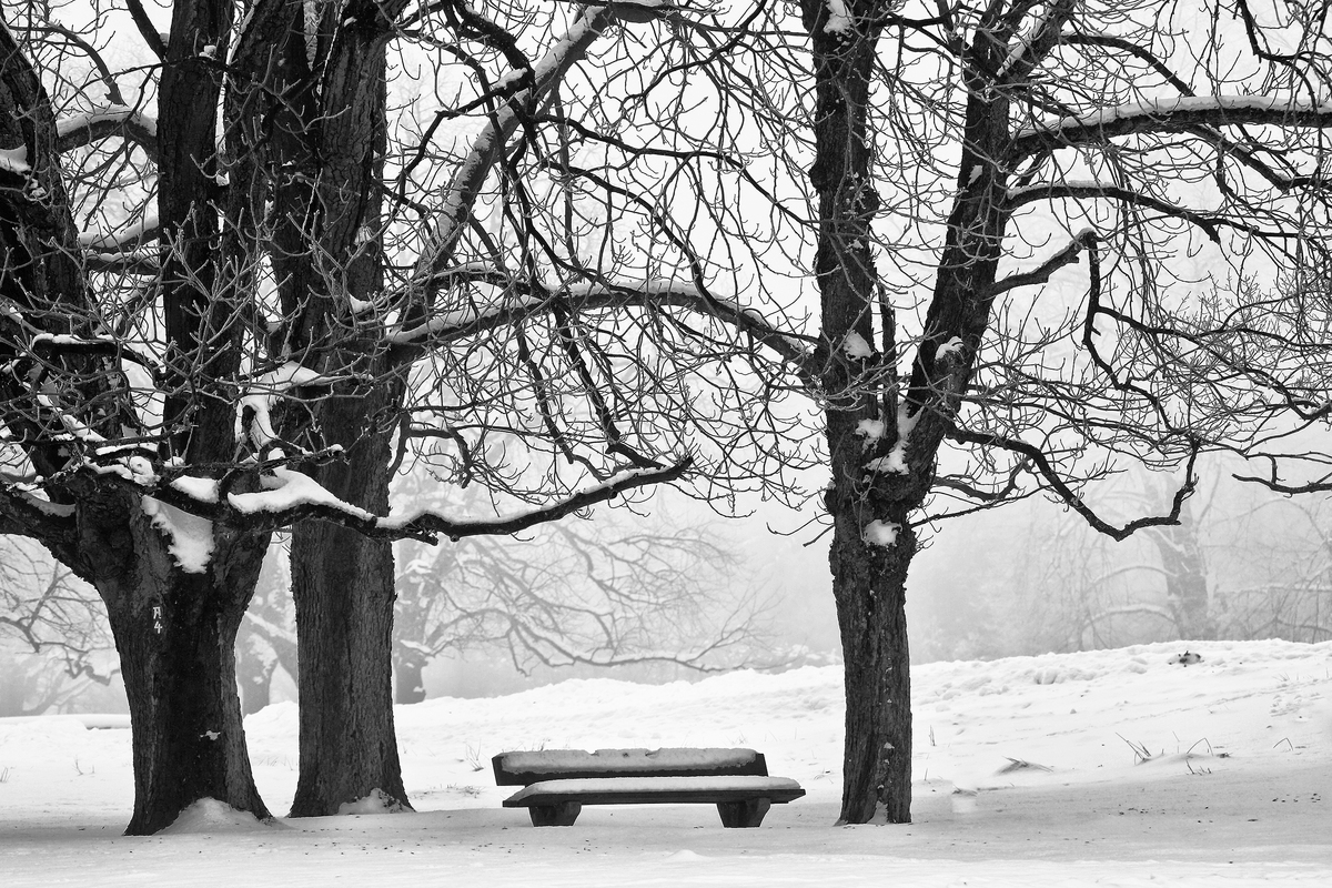 WINTERIDYLLE