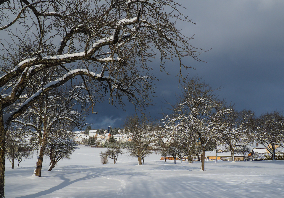 Winter auf der Alp ....