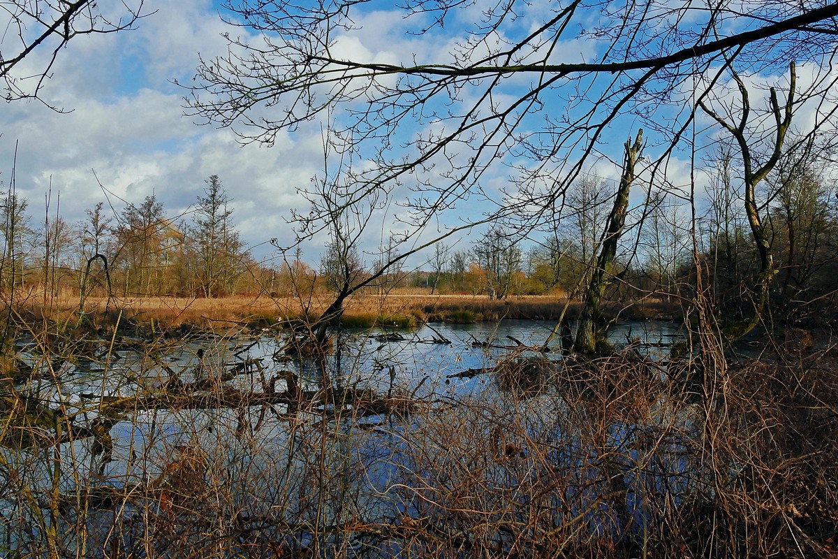 an der Havel bei Sachsenhausen