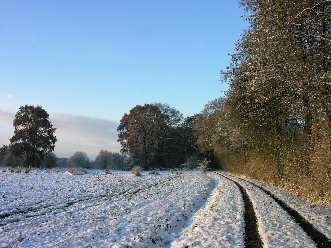 Winterspaziergang