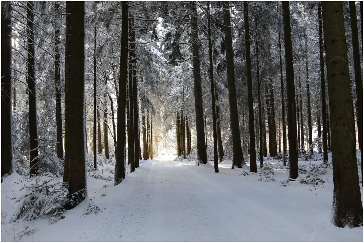 Licht am Ende des Weges