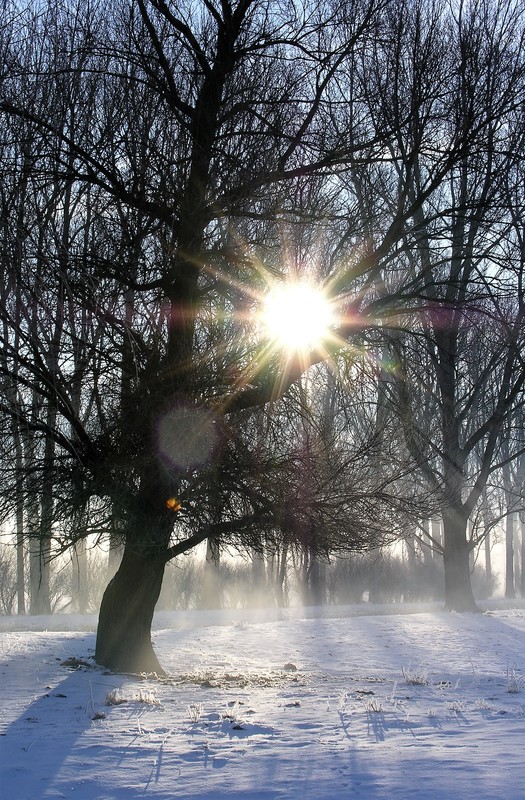 Zauberhafter Wintertag