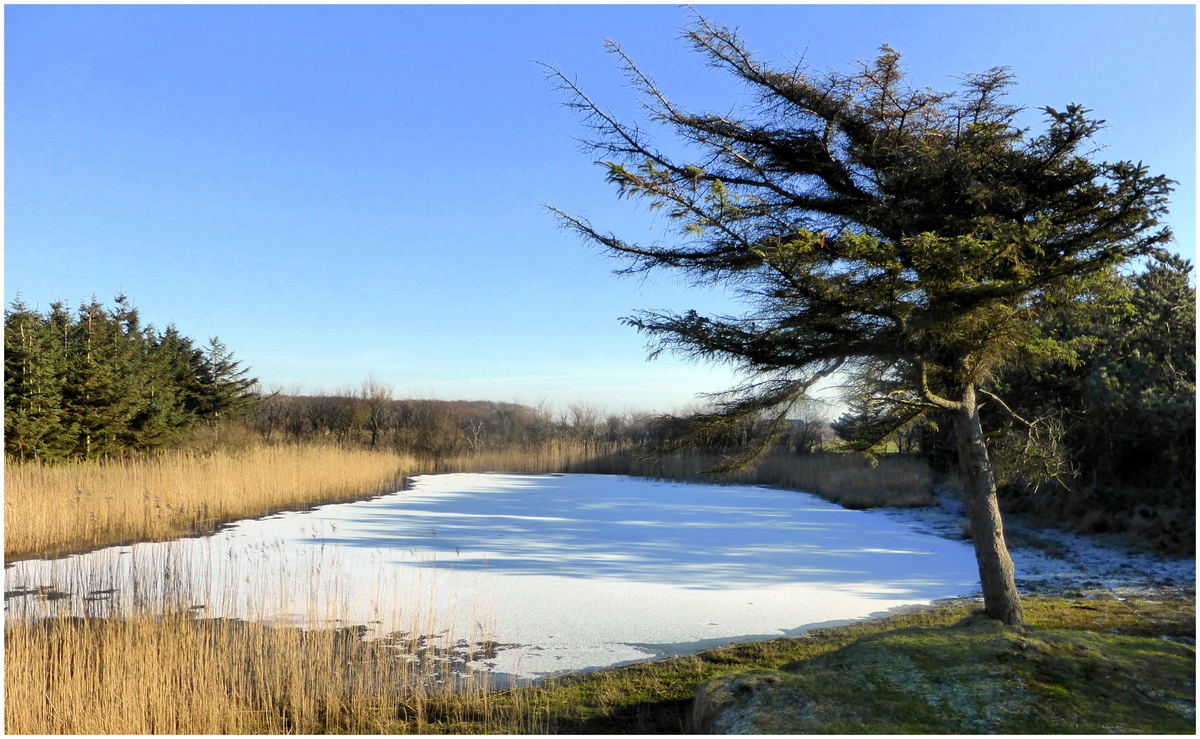 Der erste kleine Frost...