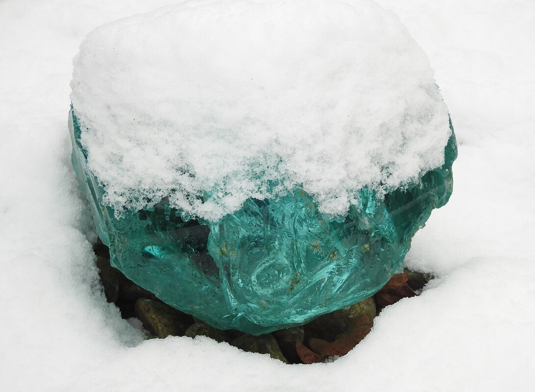 Wintermotiv im Arboretum