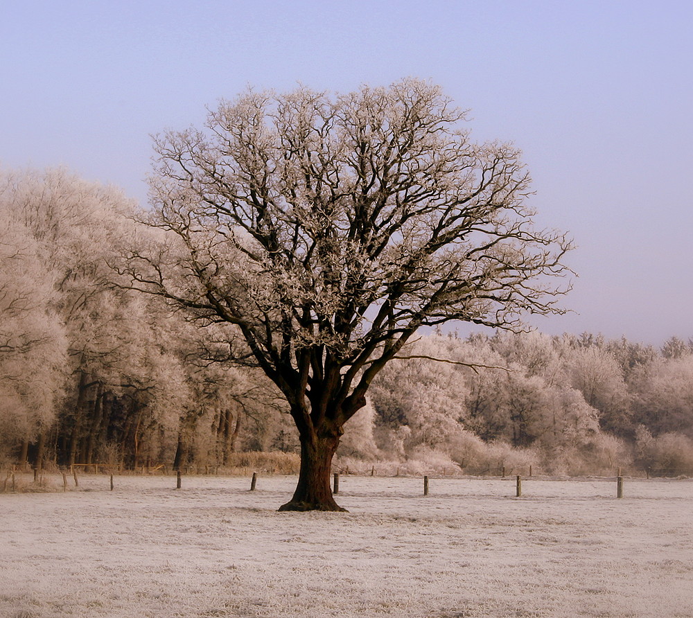 Der Winter ist da