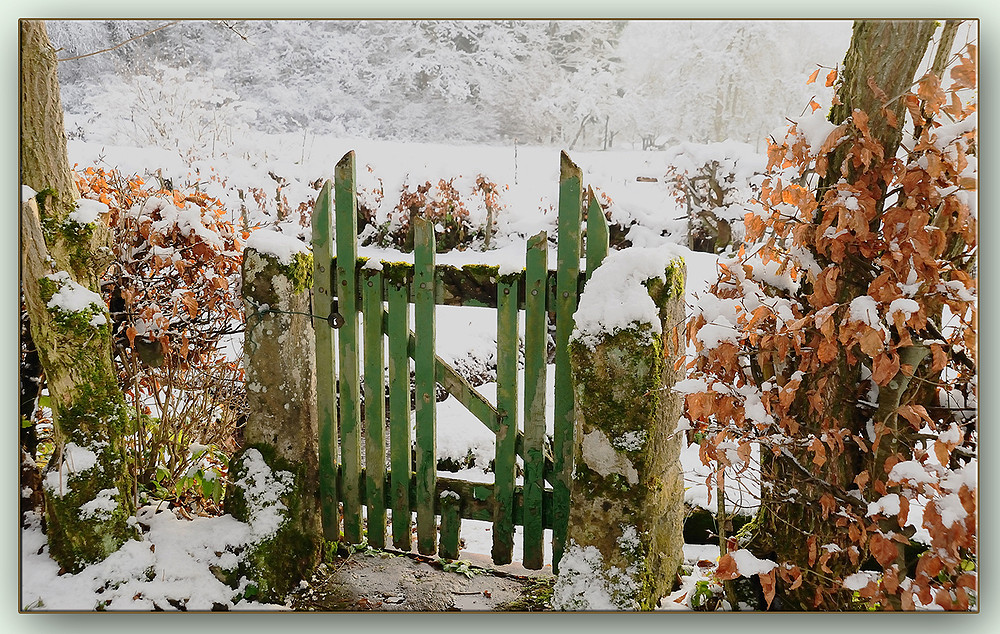 1.Advent