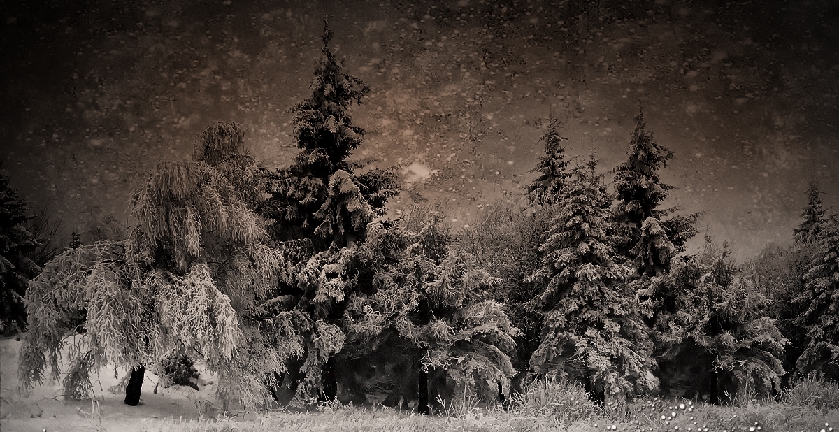 So well , it´s wintertime