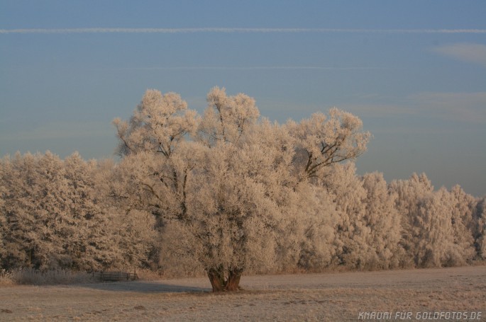Frost in Brandenburg