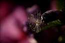 Fotos_NaturKunst