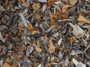 Fotos_NaturKunst