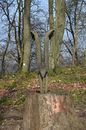 Kettensägenkunst am Zabelstein 2