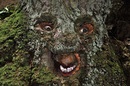 Troll