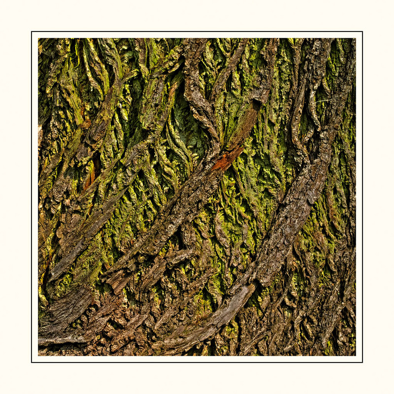 Naturdesign
