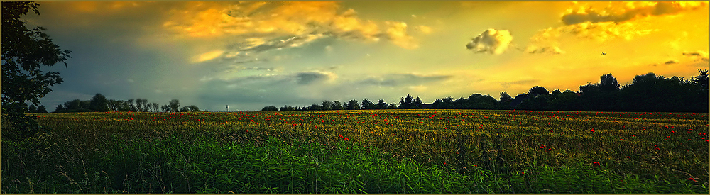 Abend in Berlin-Karow mit Blick zum Fernsehturm