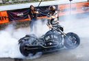 >>> Burnout <<<