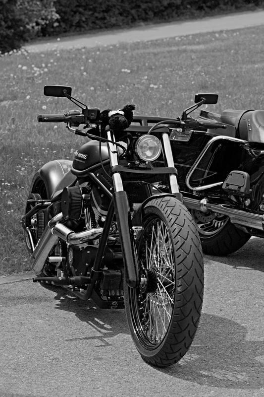 Habe so viele Harley Fotos gemacht das ich nicht weiß welches ich hier rein stellen soll.