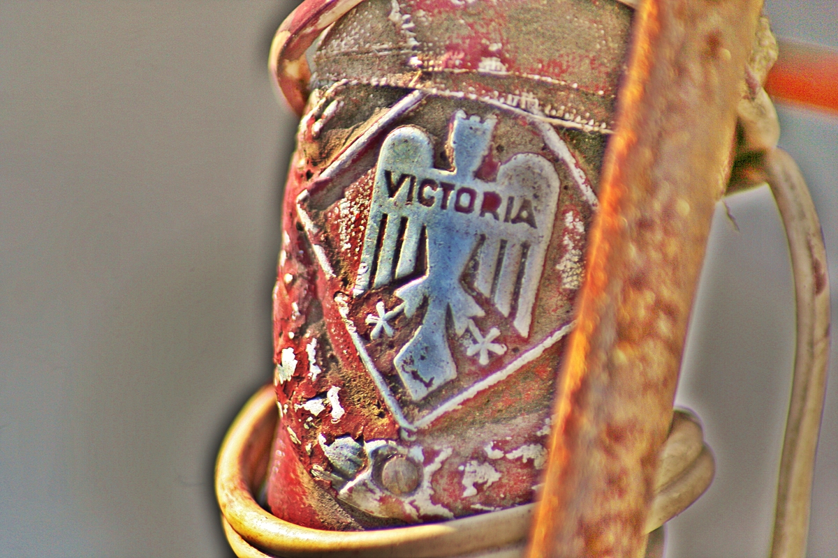 Victoria das Fahrrad