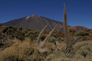 Teide