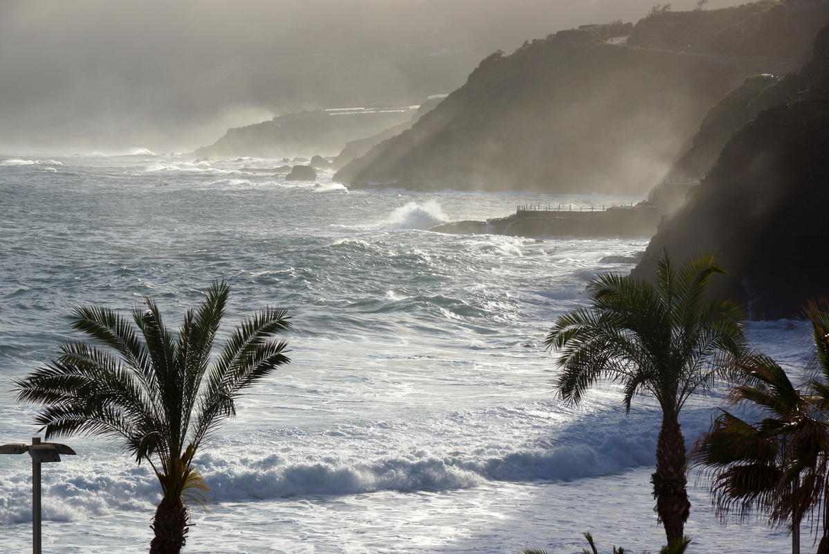 AmStrand von Teneriffa