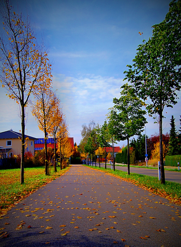 Autumn mood