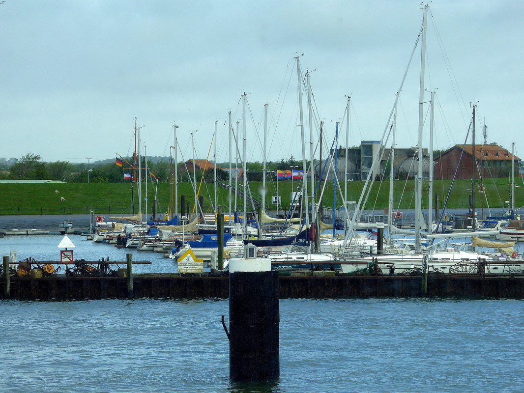im Hafen der Insel Föhr