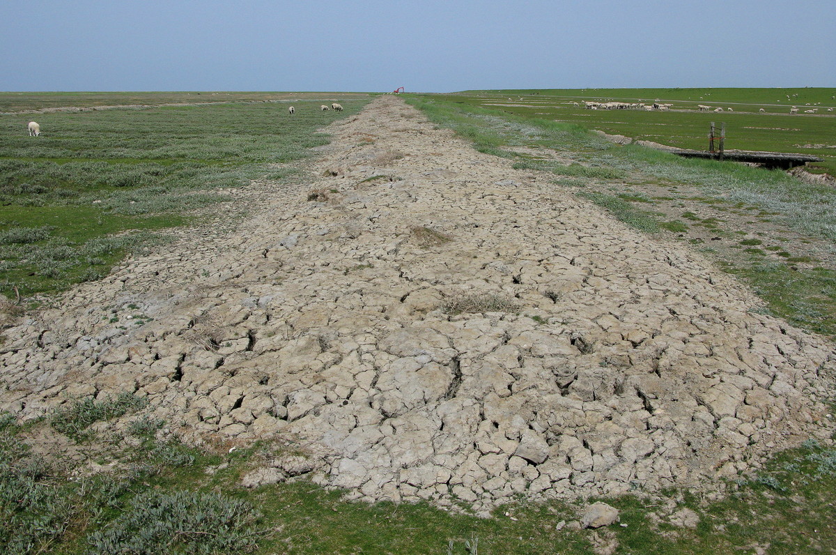 Wann wIrd es endlich wieder regnen?