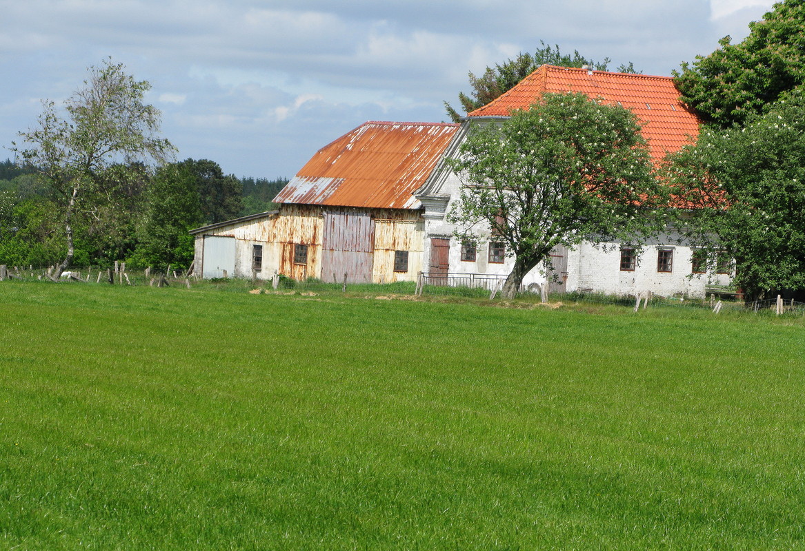 Bauernhof nahe der Bordelumer Heide (26. Mai 2008)