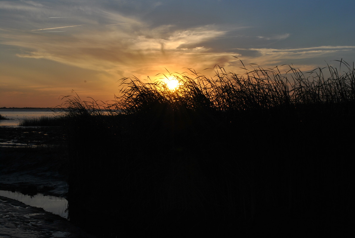 Sonnenuntergang an der Elbe