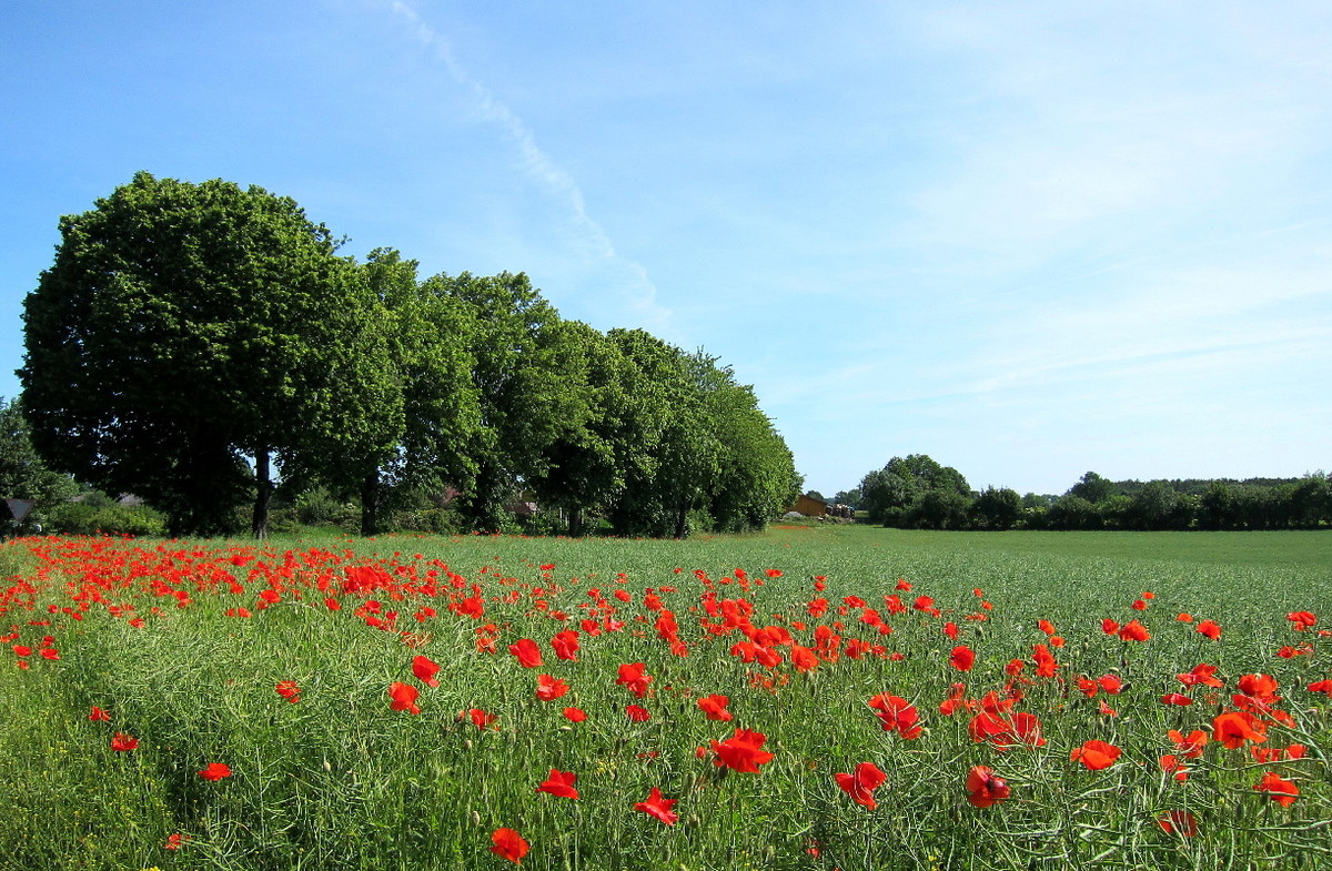So schön ist unser-Norden