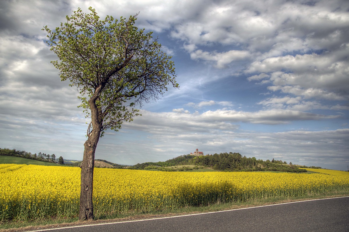 Heimat