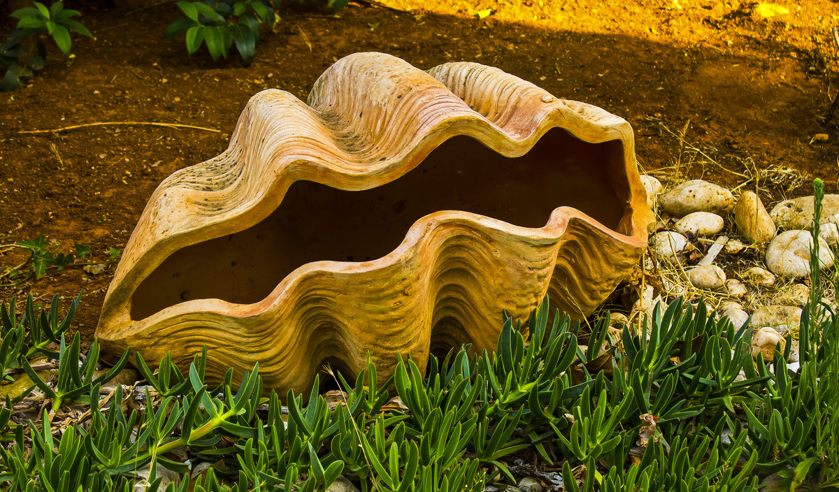 Gartenmuschel in Vrsar Kroatien