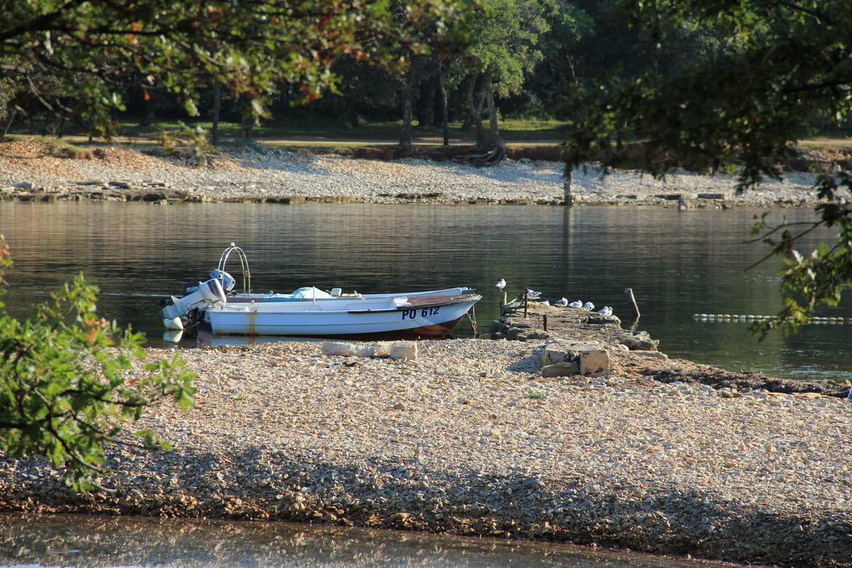 Fotos sind Mosaiksteine der Wirklichkeit