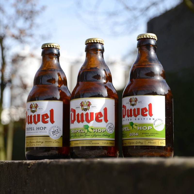 Bier