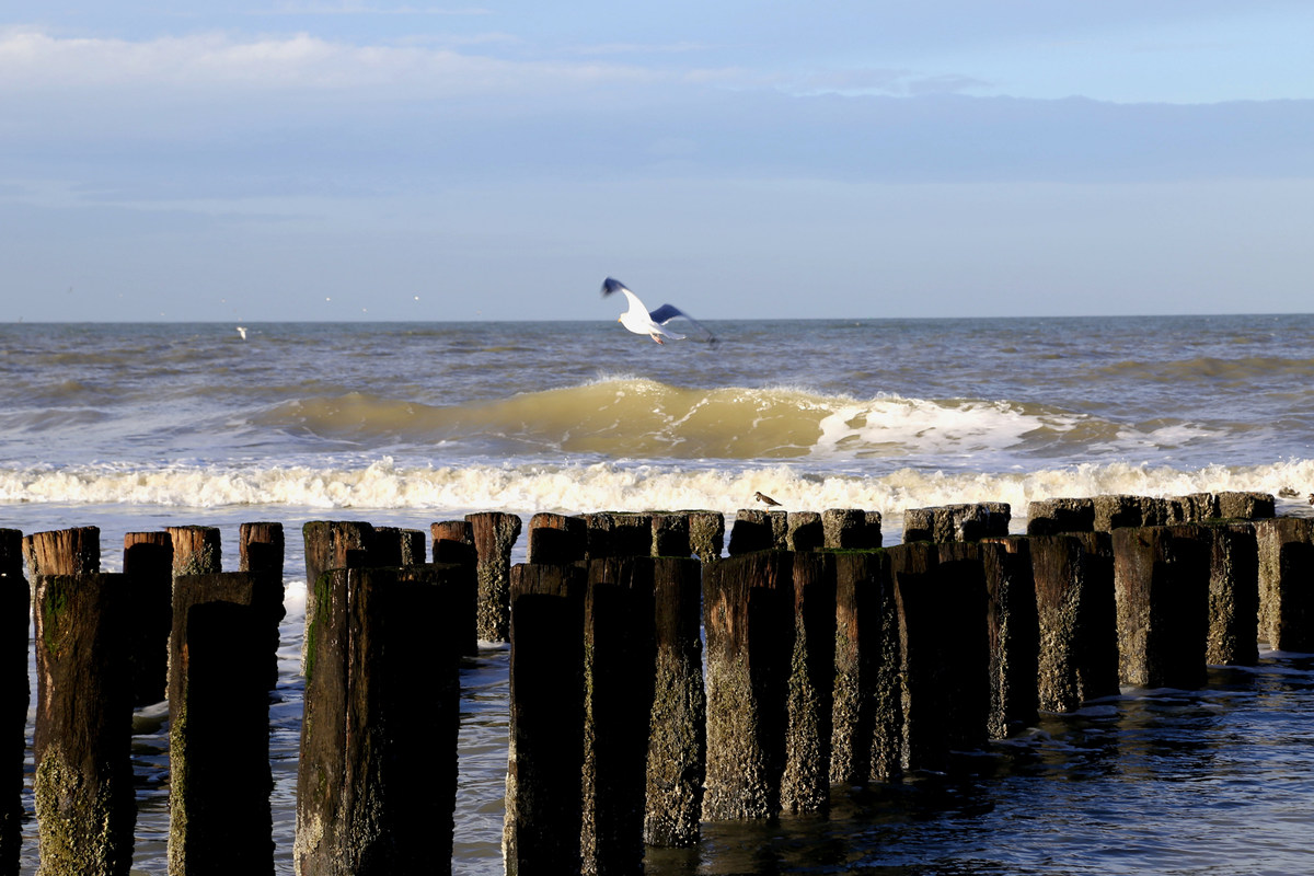Domburg im Dezember 2013