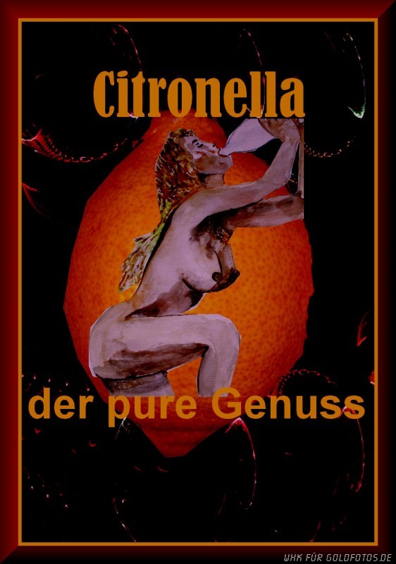 Citronella dunkel