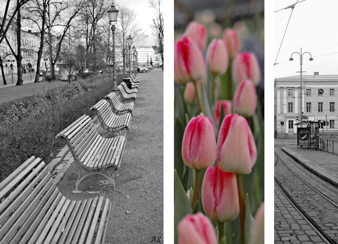 In Gedanken......im Frühling.